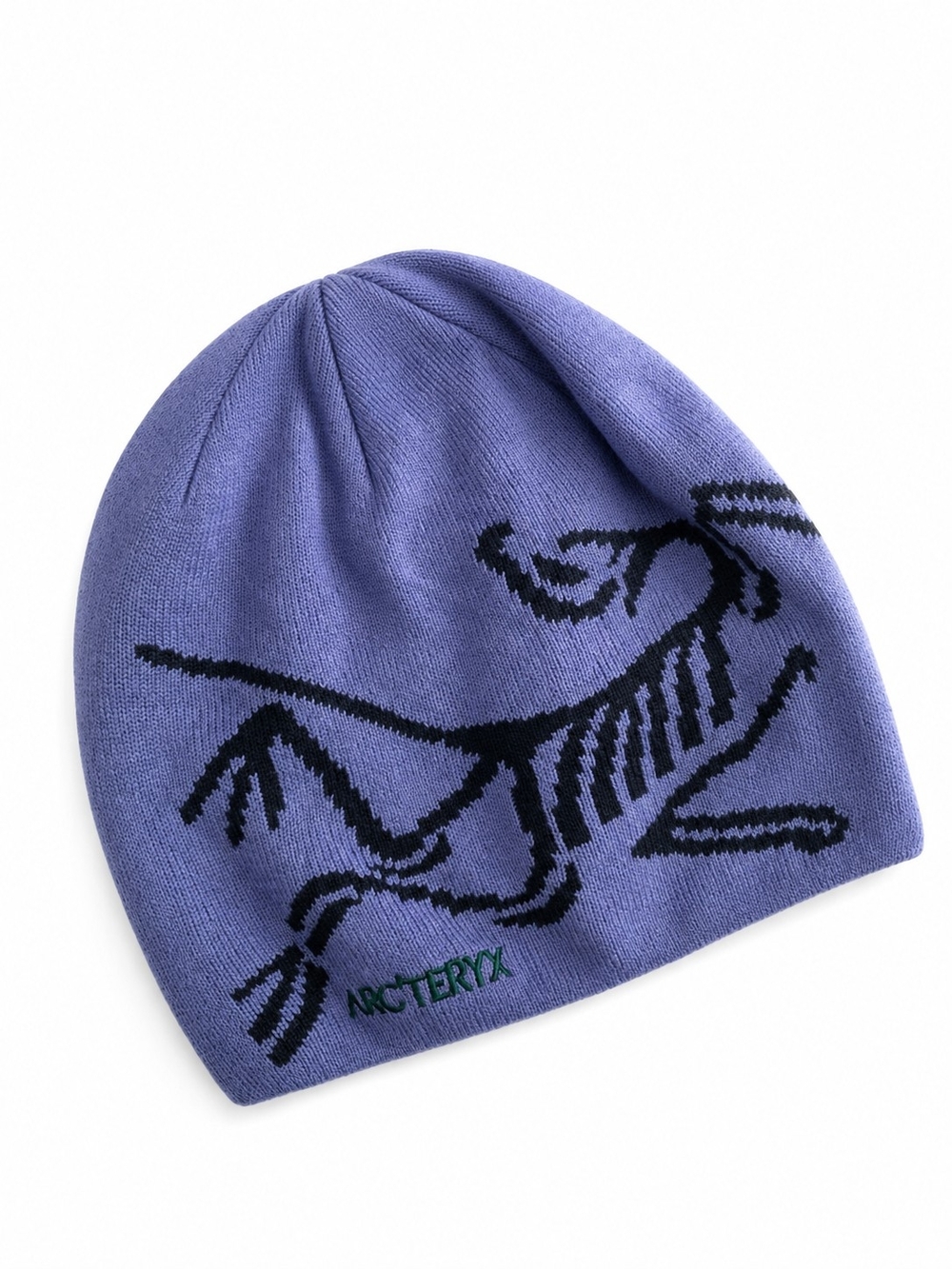 NEW WITH TAGS Arc’teryx Bird Head Toque Beanie